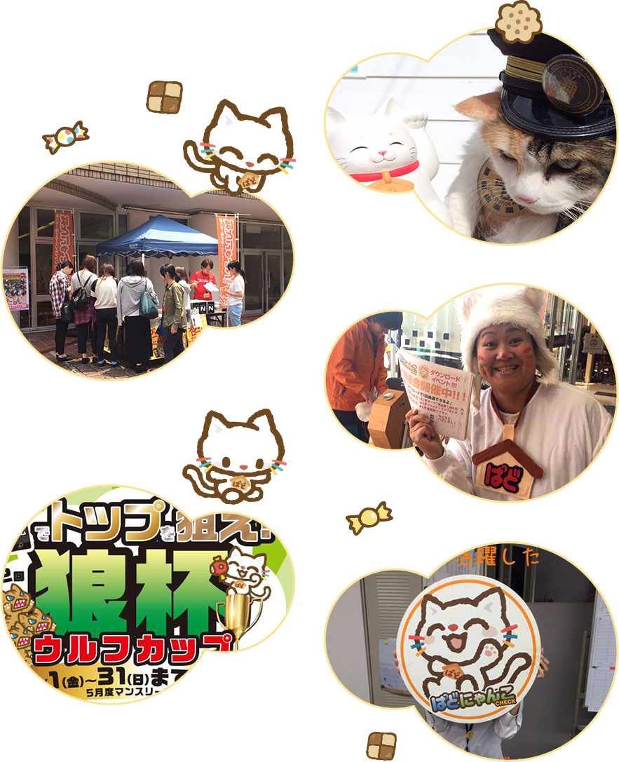 ぱどにゃんこ | 求人・人材紹介・採用支援 | 商品・サービス | 泉州広告株式会社